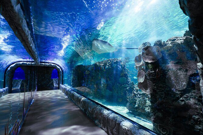 Inbursa Aquarium ticket - Discover the Wonders of Mexico City’s Inbursa Aquarium