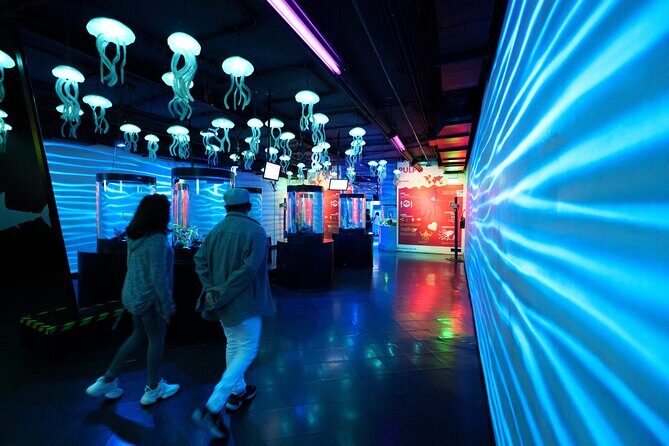 Inbursa Aquarium ticket - Key Points