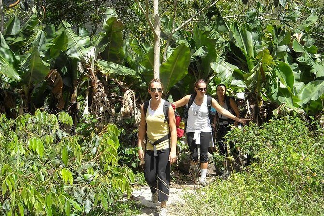 Inca Jungle Tour to Machu Picchu 4D - 3N Standard - Final Thoughts: Is It Worth It?