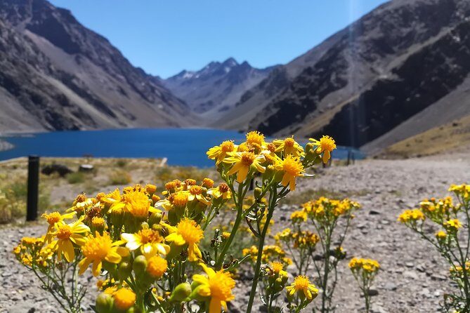 Inca Lagoon in Andes Mountain Range - Visit Local Vineyard with Tasting included - An In-Depth Look at the Experience