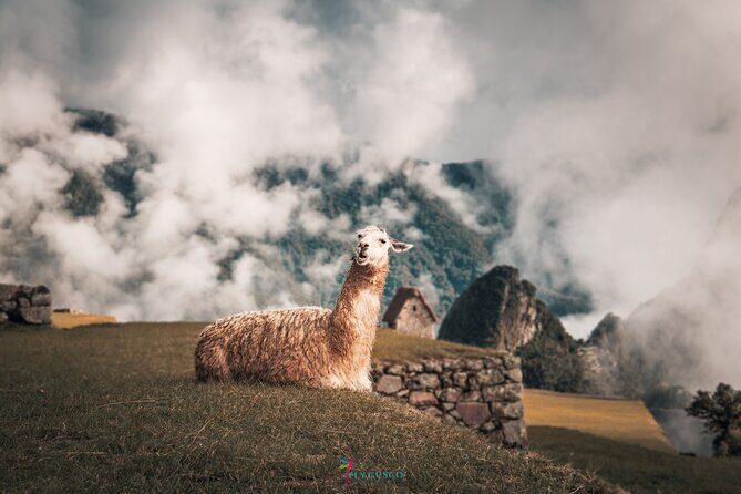 Inca Trail: 2-Day Machu Picchu and Waynapicchu optional - The Full 2-Day Experience in Detail