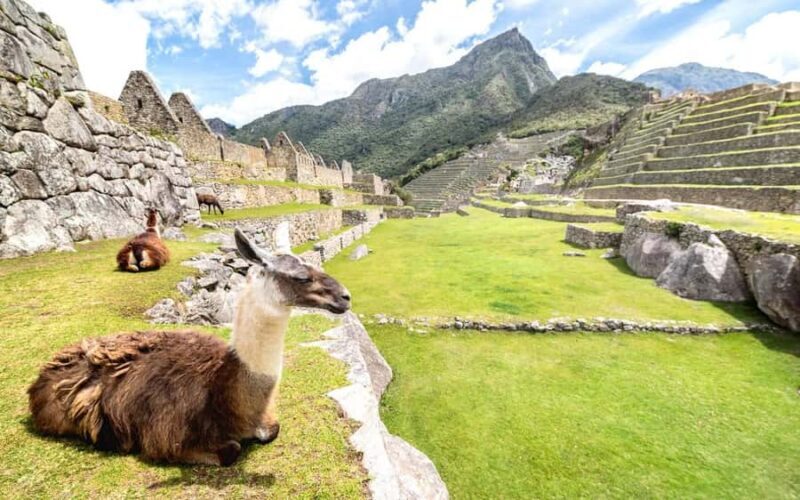 Inca Trail to Machu Picchu 4 days - FAQs
