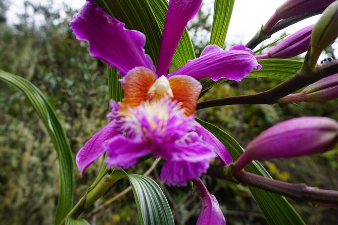 Inca Trail to Machu Picchu - One Day! - Glamping Service - A Complete Picture of the Tour