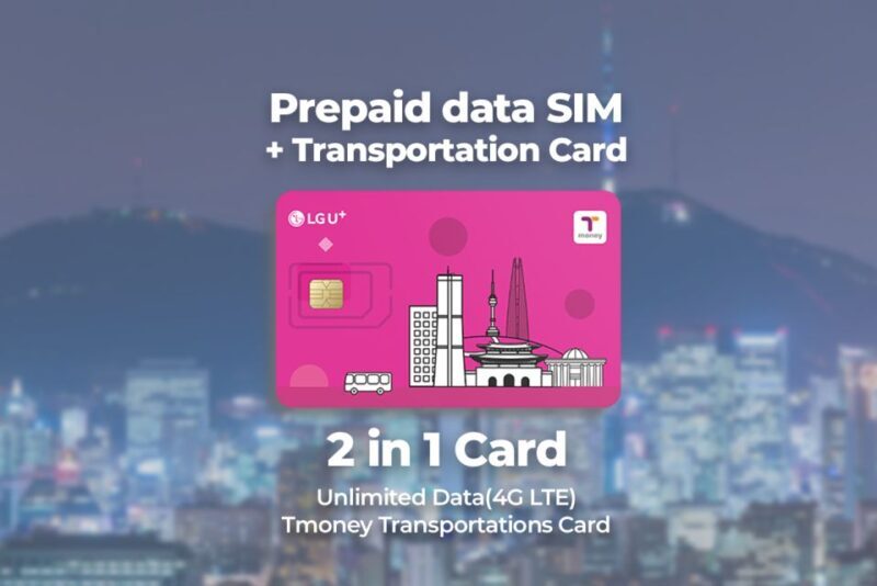 Incheon Airport: Traveler SIM & T-money Transportation Card - Key Points