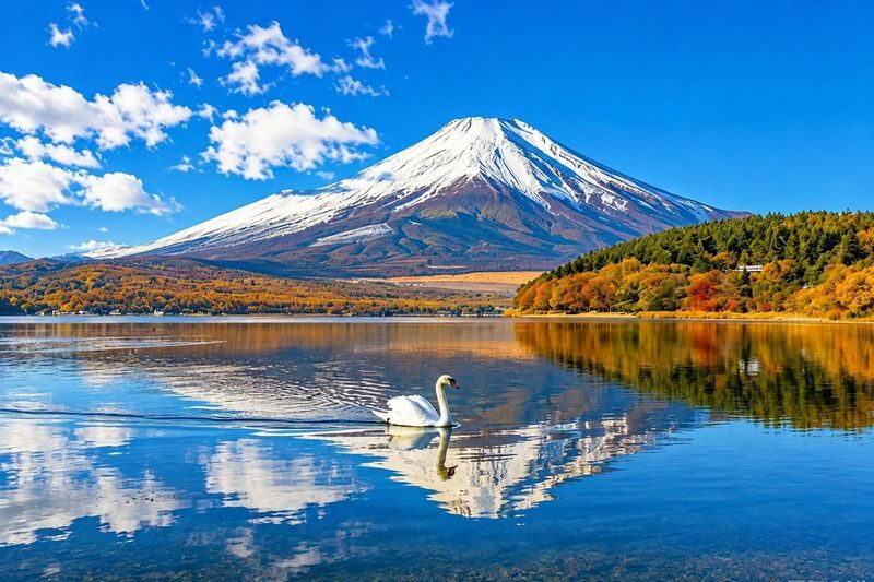 (Includes Hakone Ropeway Ticket) Mount Fuji & Hakone Instagrammable Day Tour: Owakudani, Lake Ashi Pirate Ship, Lake Yamanaka Swan Feeding, Oshino Hakkai (Departing from Tokyo) - Owakudani: volcanic steam and a ropeway ride