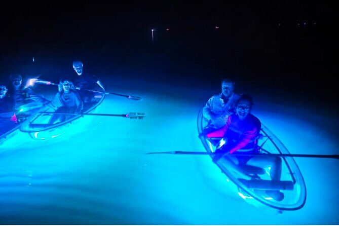 Inclusive Glass Boat Rental Peanut Island Snorkel Gear & Snacks - Key Points