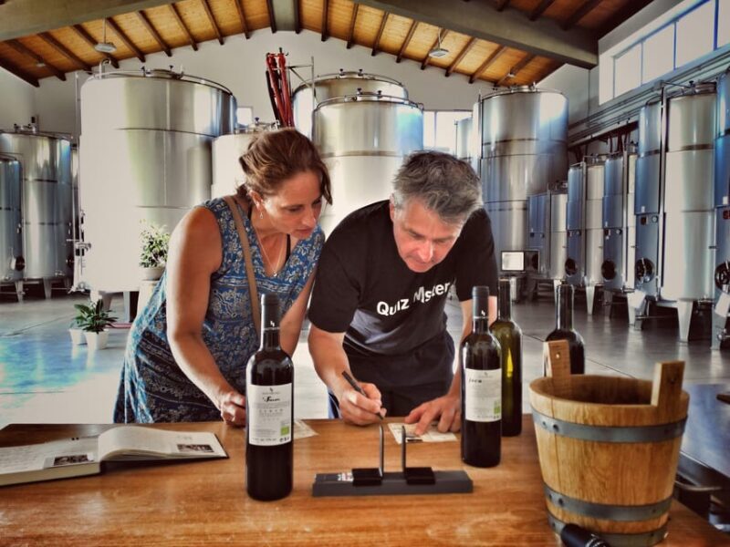 Incredible experience in a organic company - A Detailed Look at the Sicilian Wine Experience