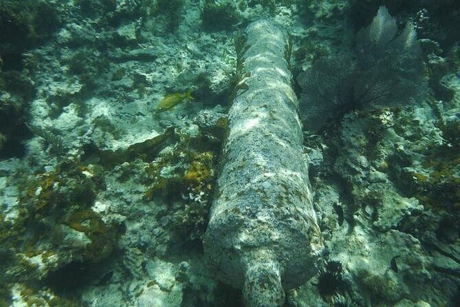 Incredible Negril Guided Snorkeling To Reef, Anchor, and Cannon - Who Should Book This Tour?