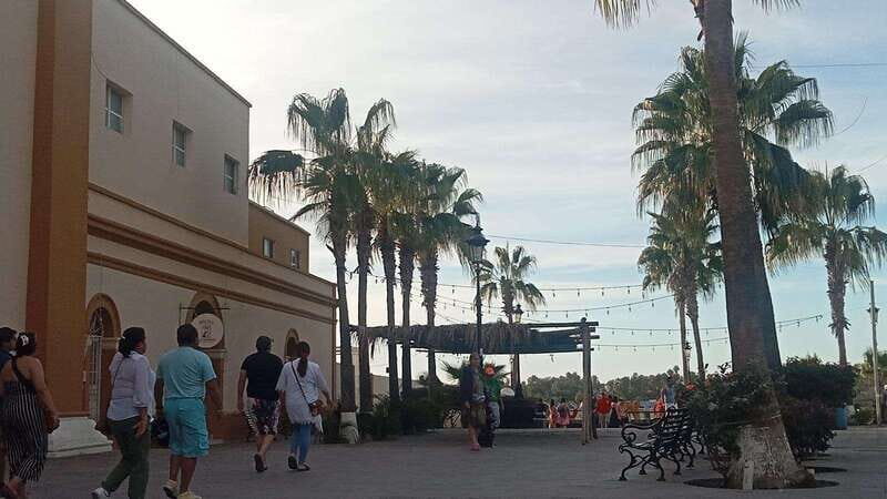 Incredible Private Tour to Todos Santos Magical Town - Who Is This Tour Best For?
