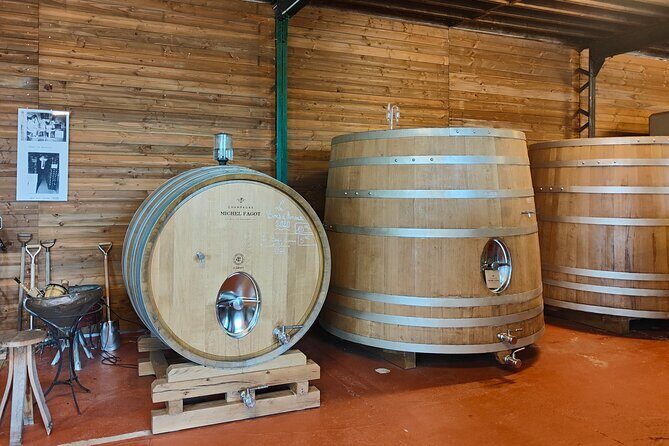 Independent wine tour, cellar and tasting in the vineyards - An Authentic Champagne Experience in Reims