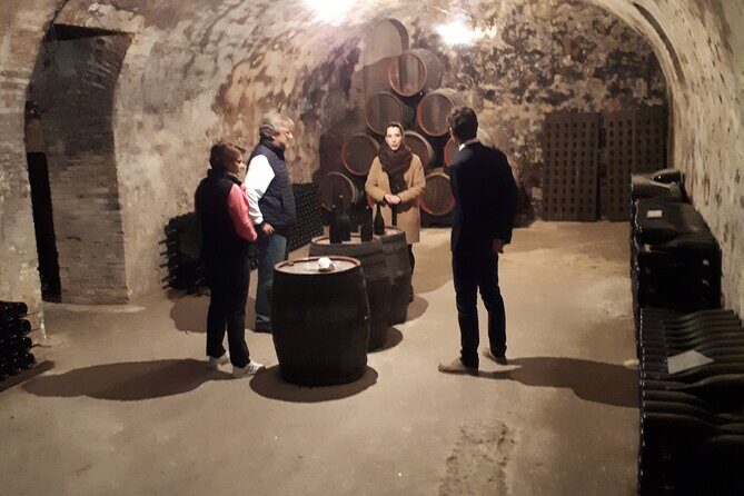 Independent wine tour, cellar and tasting in the vineyards - Who Would Love This Tour?