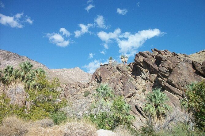 Indian Canyons Hiking Tour by Jeep from Palm Desert - Who Will Love This Tour?