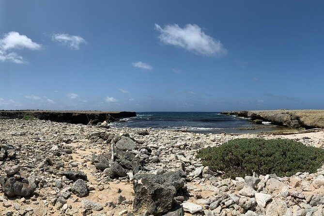 Indian Inscriptions Tour with Local Guide - Exploring Bonaire’s Hidden East Coast