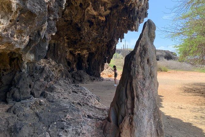 Indian Inscriptions Tour with Local Guide - Who Should Book This Tour?