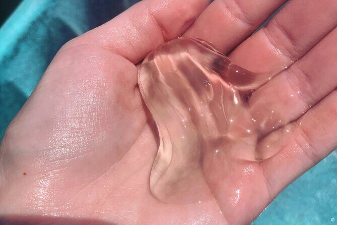 Indian River Clear Bottom Kayak or Paddleboarding Manatee and Dolphin Tour - Experience the Indian River Lagoon with Kayak or Paddleboard