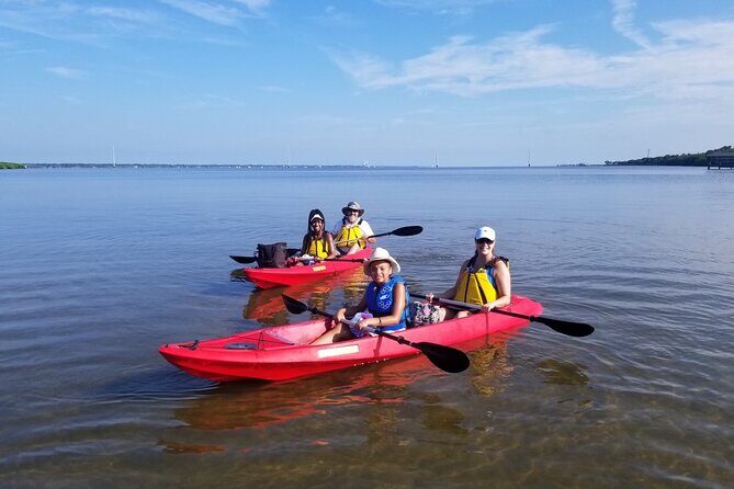 Indian River Clear Bottom Kayak or Paddleboarding Manatee and Dolphin Tour - Key Points