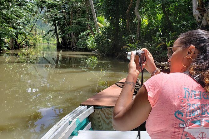 Indian River, Cold Soufriere & Fort Shirley (Northern Excursion) - A Full Breakdown of the Experience