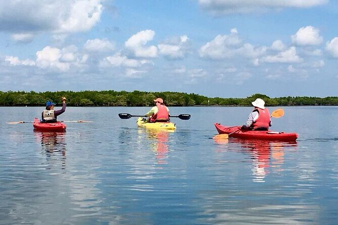 Indian River Lagoon Preserve Kayak Tour - Who Will Love This Tour?
