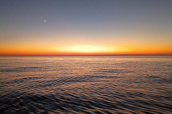 Indian Rocks Beach Evening Party Cruise (Thursday-Saturday) - Final Thoughts