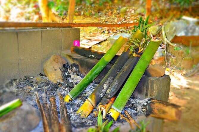 indigenous Forest experience Manila 2023 - Key Points