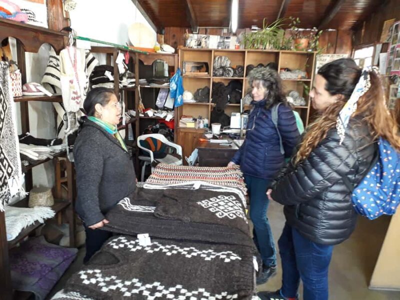 Indigenous People of Patagonia History Tour - Analyzing the Value