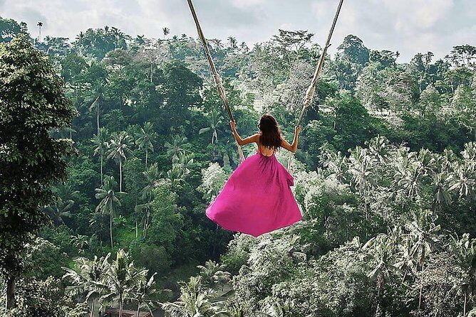 Individual Bali Day Trip with Private Driver and Free WiFi - An In-Depth Look at Bali’s Best Private Day Trip