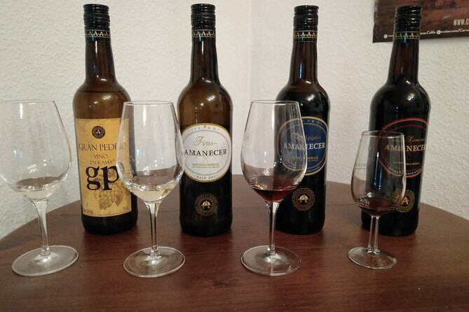 Indulge in Cordoba: Local Wines & Tapas Tasting - A Deep Dive into the Cordoba Wine & Tapas Experience