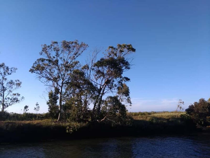 Industry or Nature Boat Tour | Speedboat - Key Points