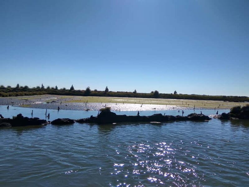 Industry or Nature Boat Tour | Speedboat - Exploring the Ria de Aveiro Speedboat Tour