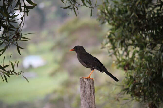 Ingapirca Archaeological and Gualaceo & Chordeleg Tour from Cuenca - Why This Tour Offers Great Value