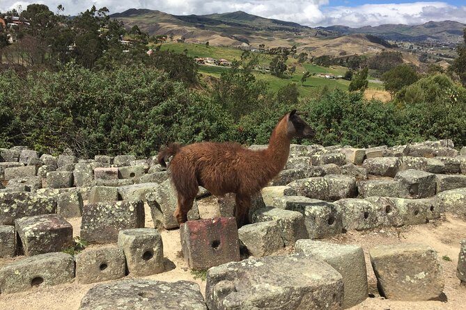Ingapirca Inca Ruins Cultural Day Trip from Cuenca - FAQ