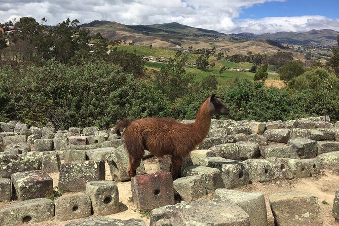 Ingapirca Ruins & Inca mountain face tour from Cuenca with Small Group - Discovering Ecuador’s Incan Heritage: Ingapirca Ruins & Mountain Face Tour from Cuenca