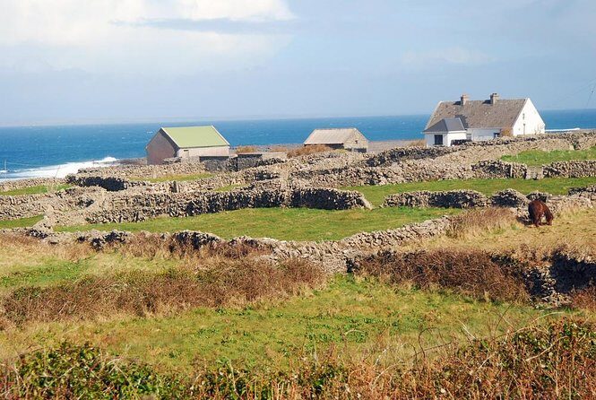 Inis Mór (Aran Islands) Day Trip: Return Ferry from Rossaveel, Galway - Key Points