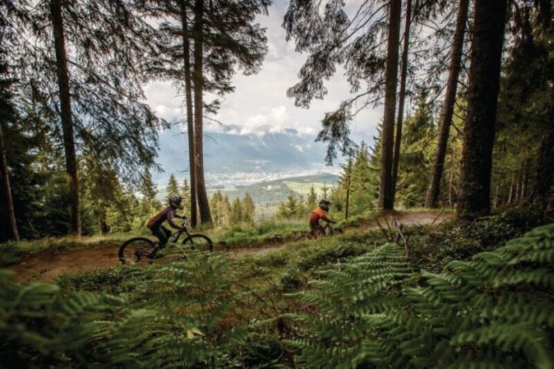 Innsbruck: Downhill Guiding - Bike Park Innsbruck - Who Will Love This Experience?