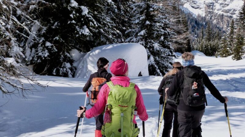 Innsbruck: Priv. Guided Snowy Mountain Hike /Snowshoe´s - A Deep Dive into the Innsbruck Private Snowshoe Tour