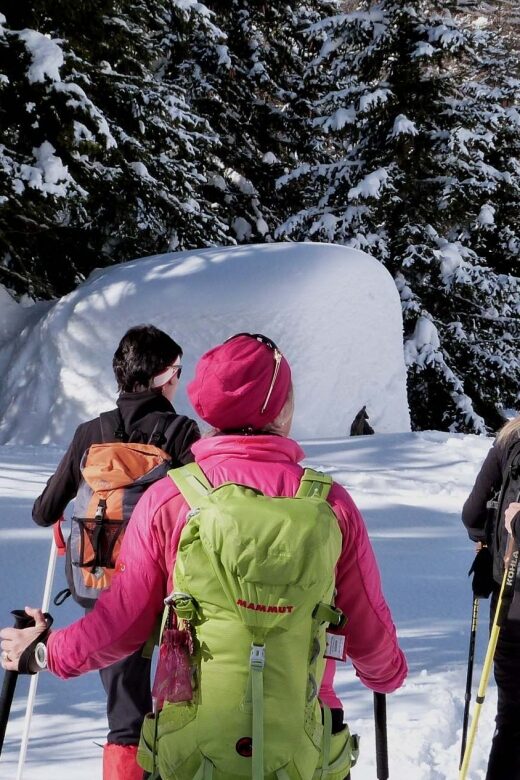 Innsbruck: Priv. Guided Snowy Mountain Hike /Snowshoe´s - FAQs