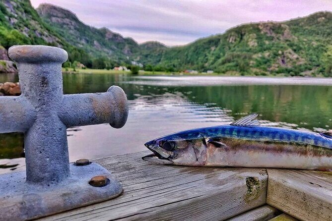 Inshore fishing in the Drangefjord - Inshore fishing in the Drangefjord