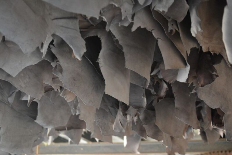 Inside Dharavi: Unveiling Mumbai's Slum Culture Tour - FAQ