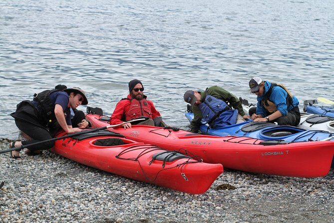 Inside Passage Sea Kayaking in Haines - An In-Depth Look at the Experience