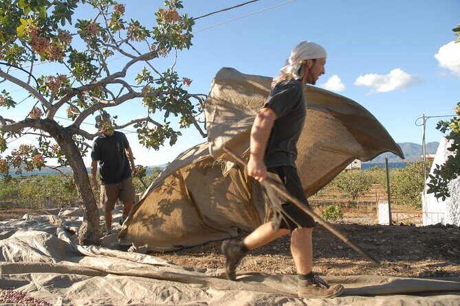 Insightful Pistachio Orchard and Factory Tour - A Closer Look at the Pistachio Tour Experience