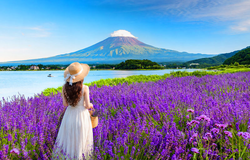 Instagram-worthy Mt. Fuji Spots & Kawaguchikos Four Seasons Flower Tour (with Japanese Rice Cake Gift) | Departure from Tokyo/Shinjuku - What makes this Fuji day trip worth considering