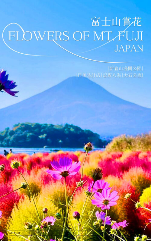 Instagram-worthy Mt. Fuji Spots & Kawaguchikos Four Seasons Flower Tour (with Japanese Rice Cake Gift) | Departure from Tokyo/Shinjuku - A day built around Fuji, not just one viewpoint