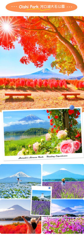 Instagram-worthy Mt. Fuji Spots & Kawaguchikos Four Seasons Flower Tour (with Japanese Rice Cake Gift) | Departure from Tokyo/Shinjuku - Oshino Hakkai: spring water, village scenes and kusa mochi