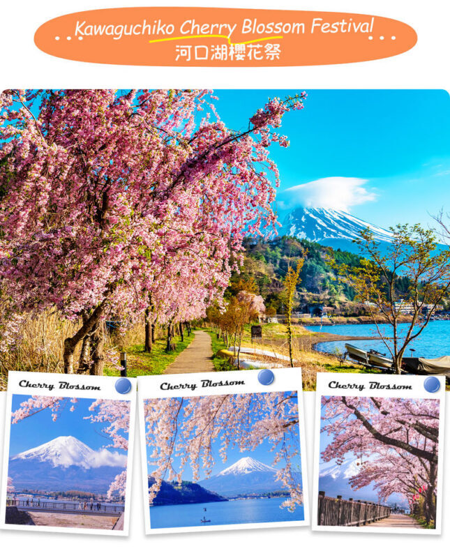 Instagram-worthy Mt. Fuji Spots & Kawaguchikos Four Seasons Flower Tour (with Japanese Rice Cake Gift) | Departure from Tokyo/Shinjuku - Lawson: a quick, familiar Fuji photo