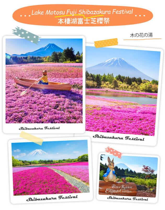 Instagram-worthy Mt. Fuji Spots & Kawaguchikos Four Seasons Flower Tour (with Japanese Rice Cake Gift) | Departure from Tokyo/Shinjuku - Guides, group pace and the realities of a shared tour