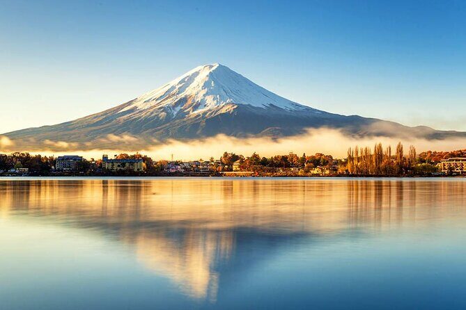 Instagram-worthy Mt. Fuji Spots & Kawaguchiko's Four Seasons Tour - Key Points
