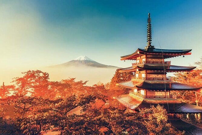 Instagram-worthy Mt. Fuji Spots & Kawaguchiko's Four Seasons Tour - What’s Included and What to Expect