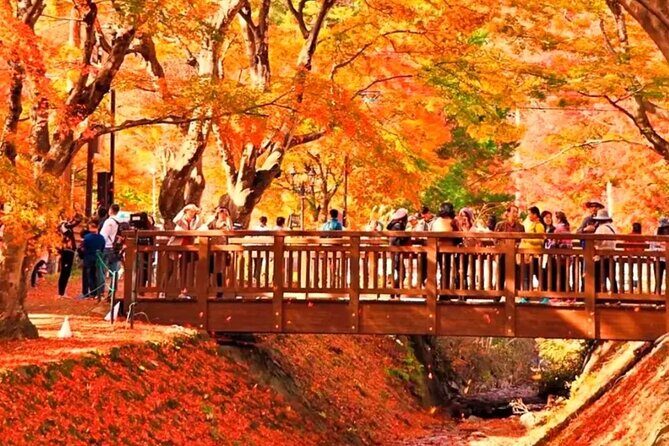 Instagram-worthy Mt. Fuji Spots & Kawaguchiko's Four Seasons Tour - Oishi Park and Lake Kawaguchi: The Grand Finale