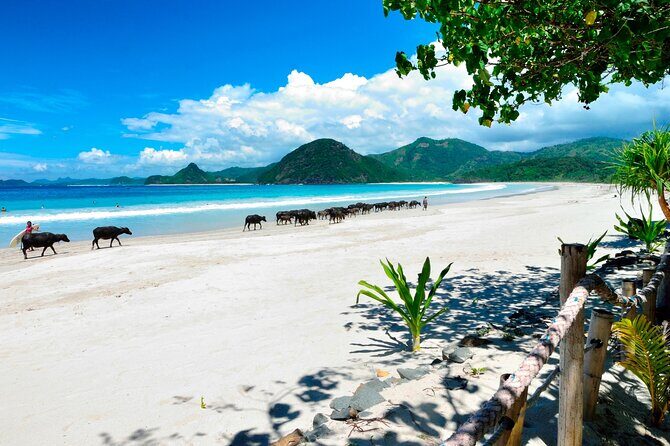 Instagramable Beach Hopping Trip - FAQ