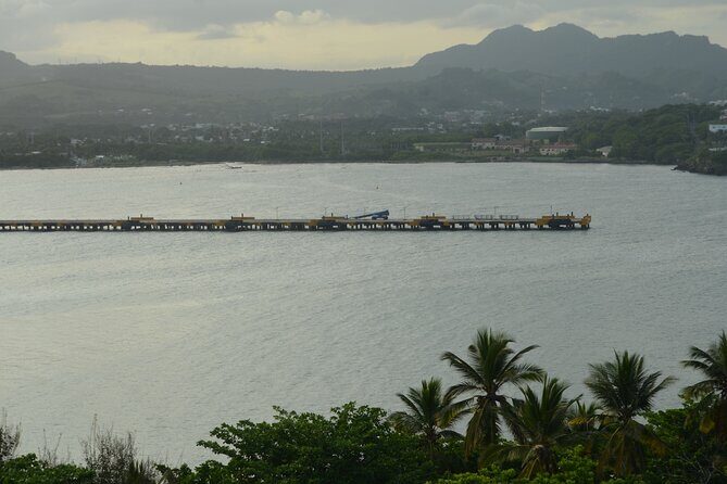 Interaction with Monkeys and Historic City Tour of Puerto Plata - A Deep Dive into the Experience